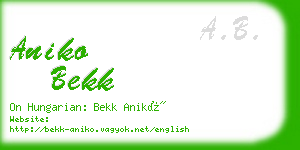 aniko bekk business card